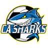 CA Sharks